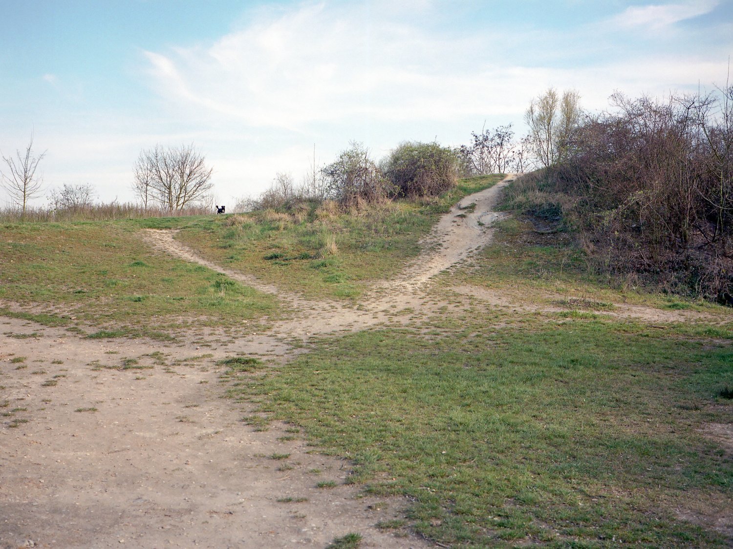 Contours Web Shane Lynam (21).jpg
