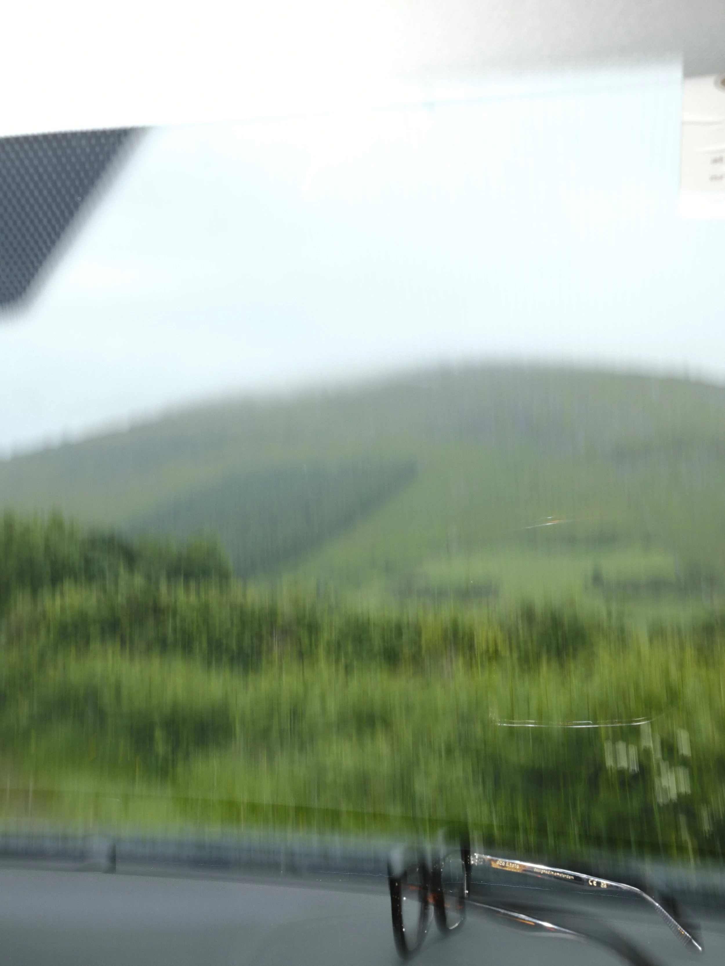 _DSF1173.JPG