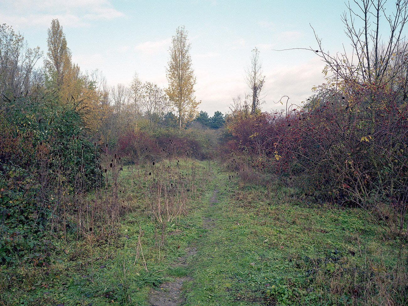 Contours Web Shane Lynam (14).jpg