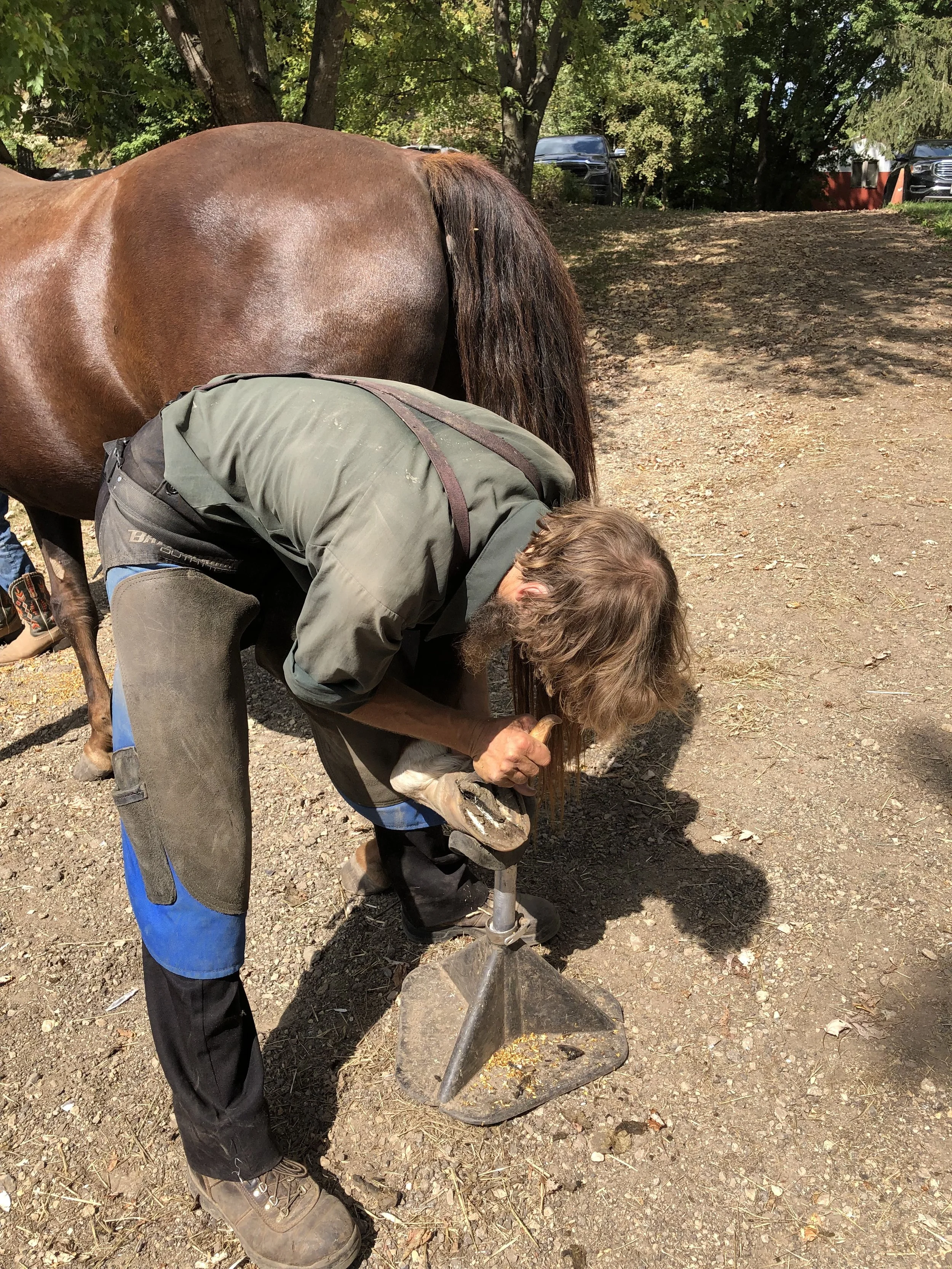 Farrier Day
