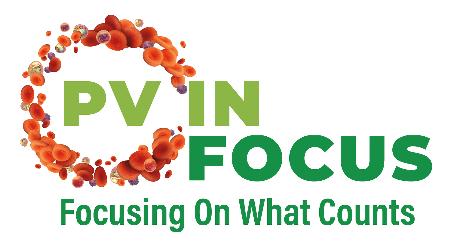 PV In Focus 