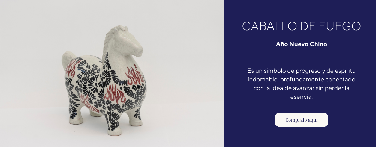 Banner Pagina web.png