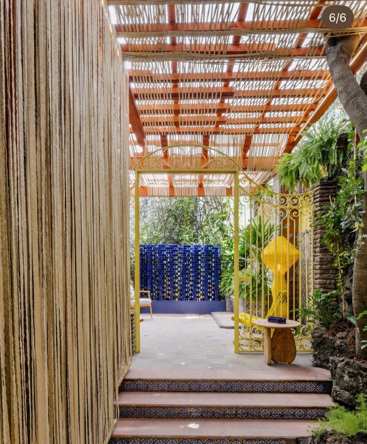 WhatsApp Image 2025-12-24 at 10.53.58 AM.jpeg