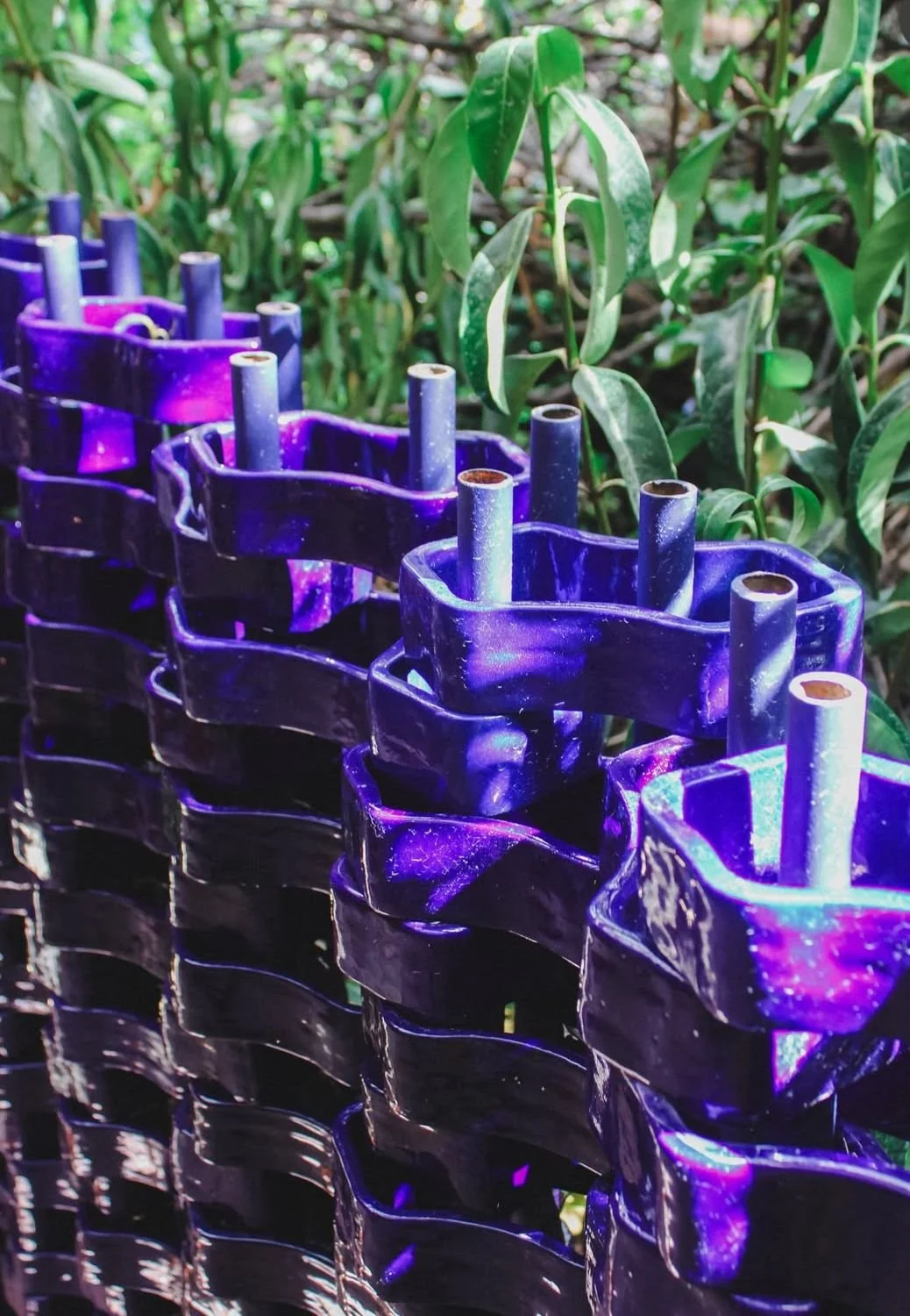 WhatsApp Image 2025-12-24 at 10.54.00 AM (1).jpeg