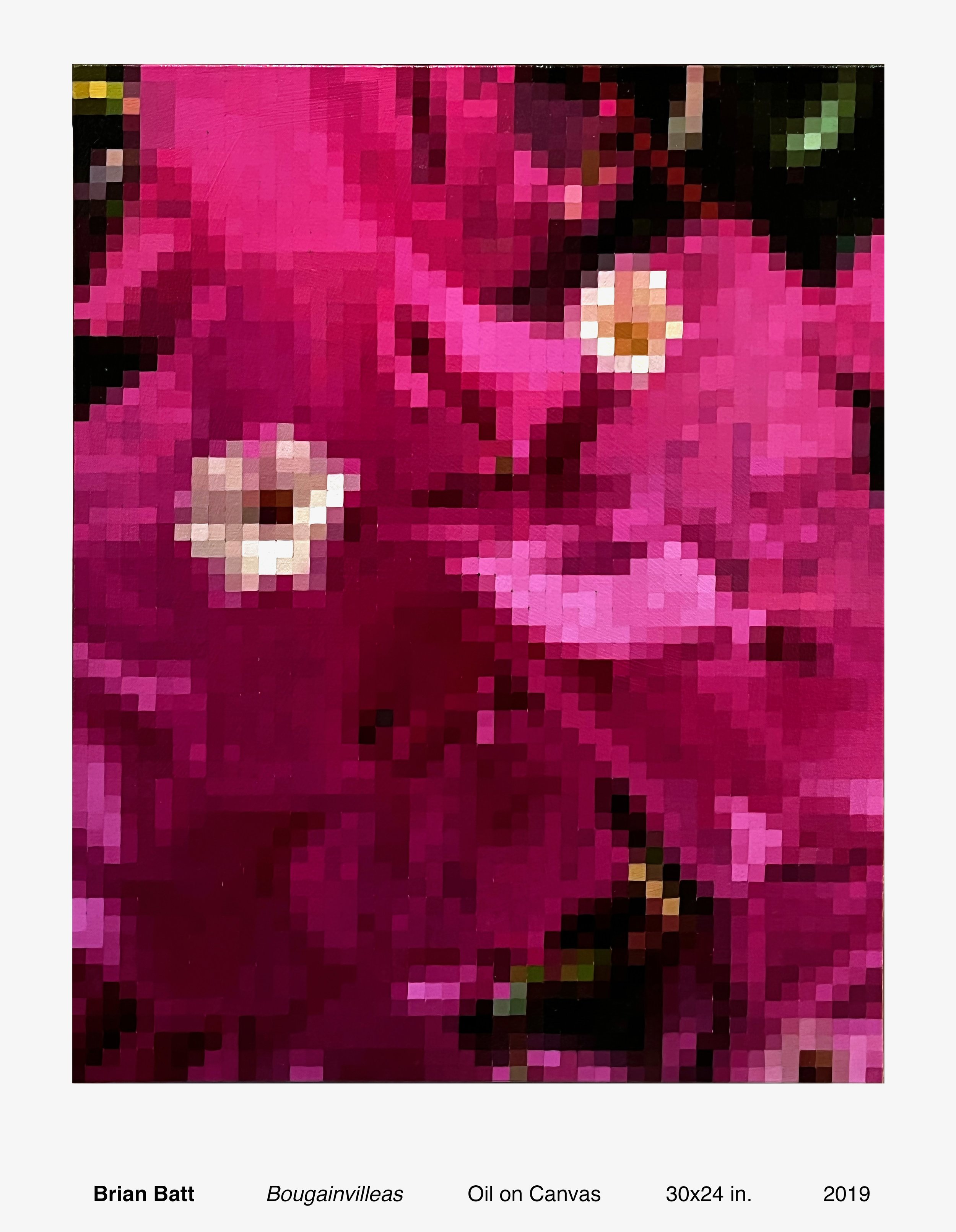 BOUGAINVILLEAS.jpeg