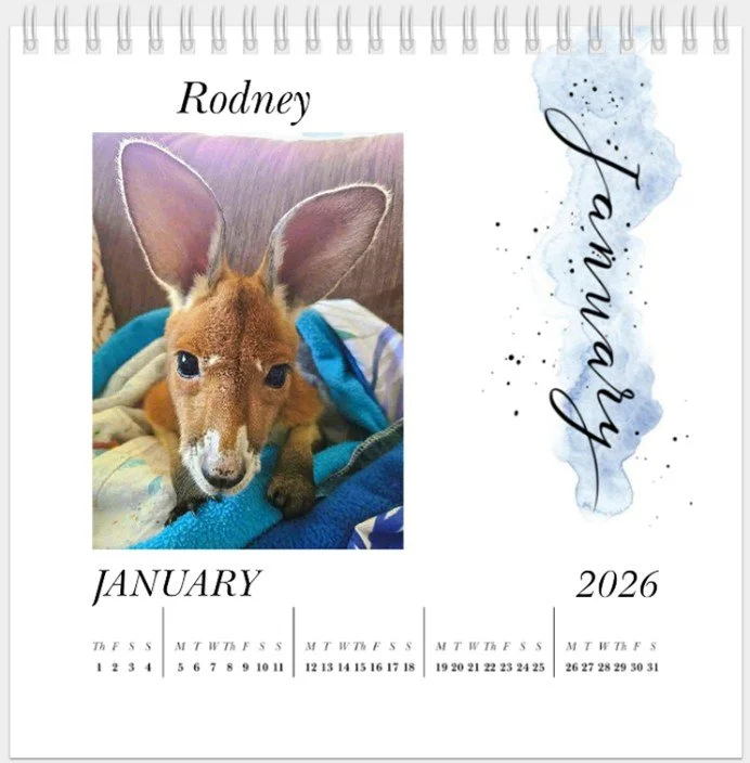 MMCI 2026 Desk Calendar.jpg