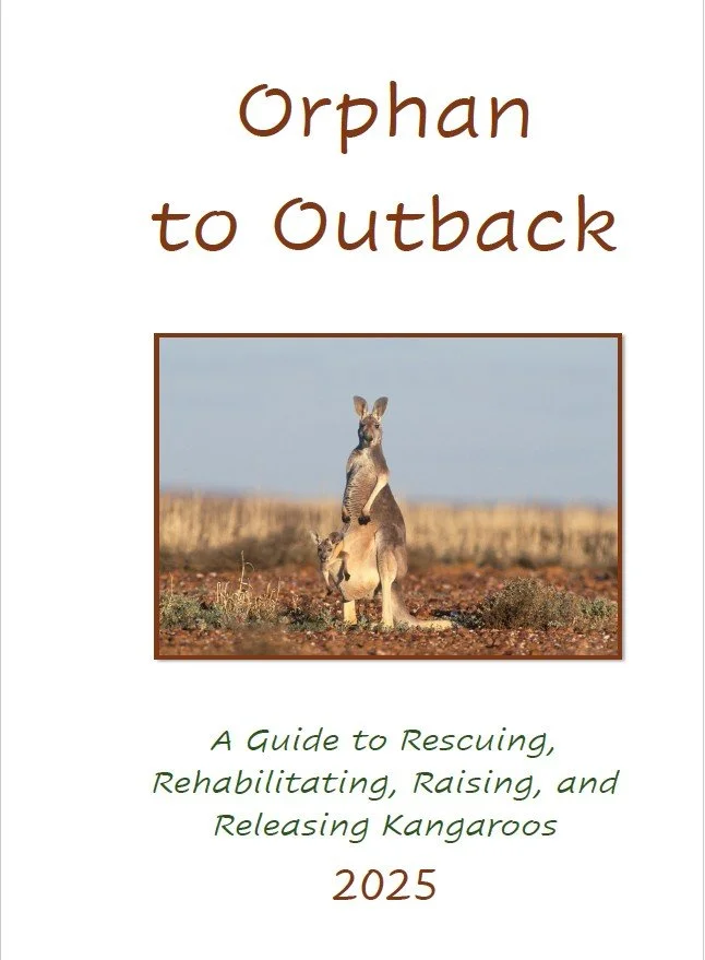Orphan to Outback.jpg