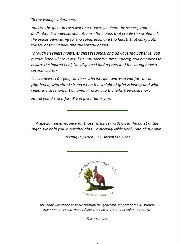 Orphan to Outback 1.jpg (Copy)