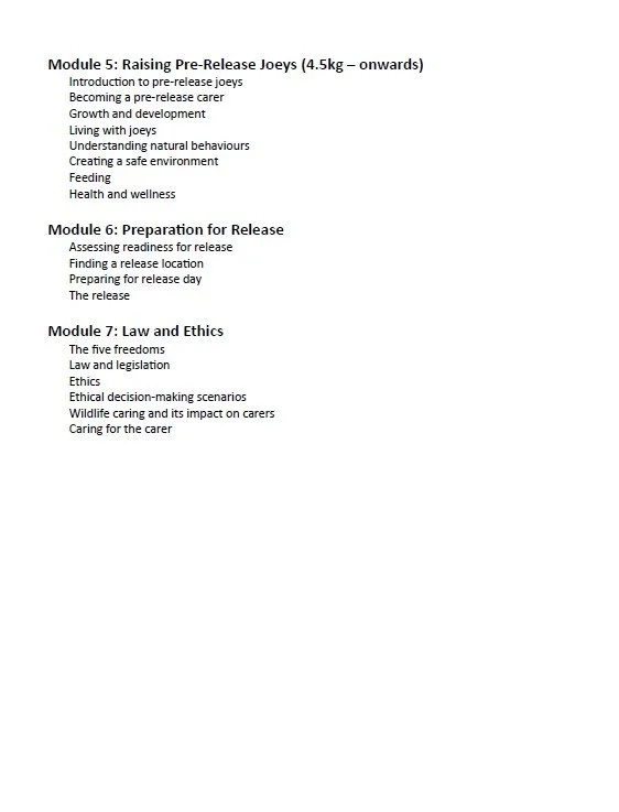 Orphan to Outback 3.jpg (Copy)