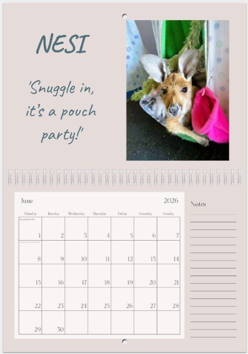 2026 Large Calendar Nesi.jpeg
