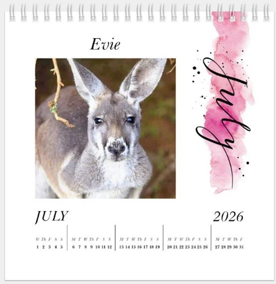 MMCI 2026 Desk Calendar2.jpg