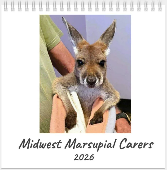 MMCI 2026 Desk Calendar1.jpg