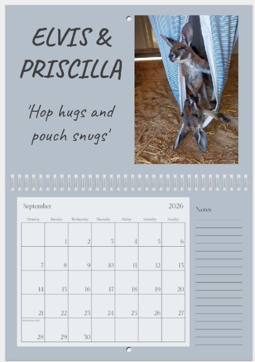 2026 v2Large Calendar.jpeg