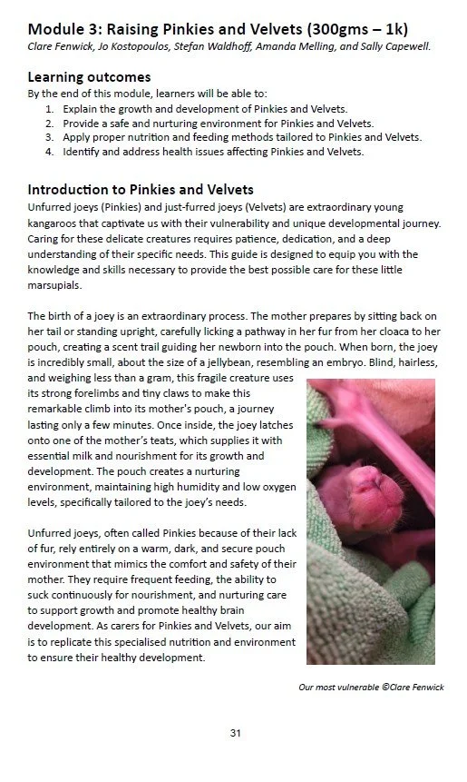 Orphan to Outback 4.jpg