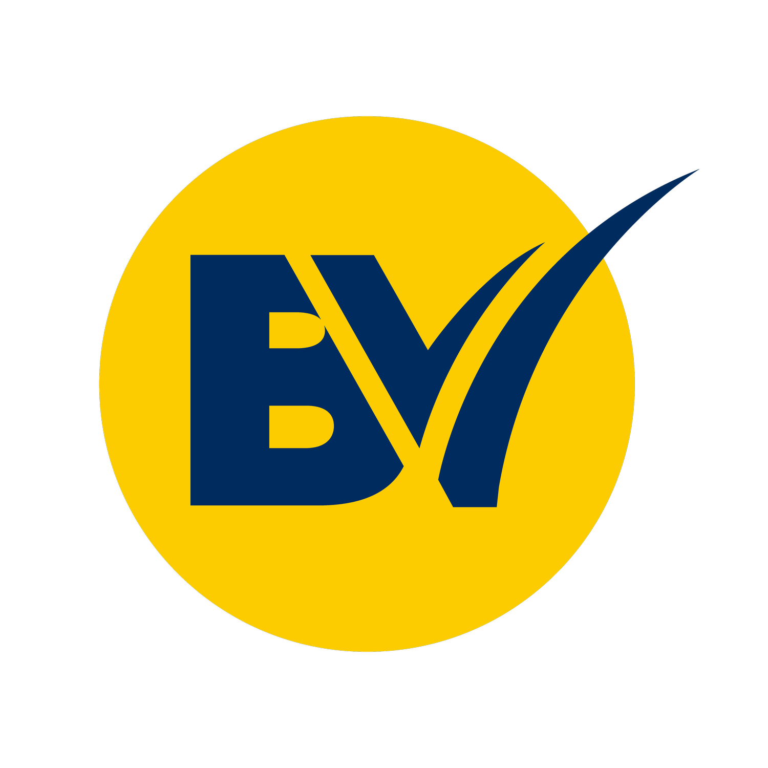 BestView Coaching