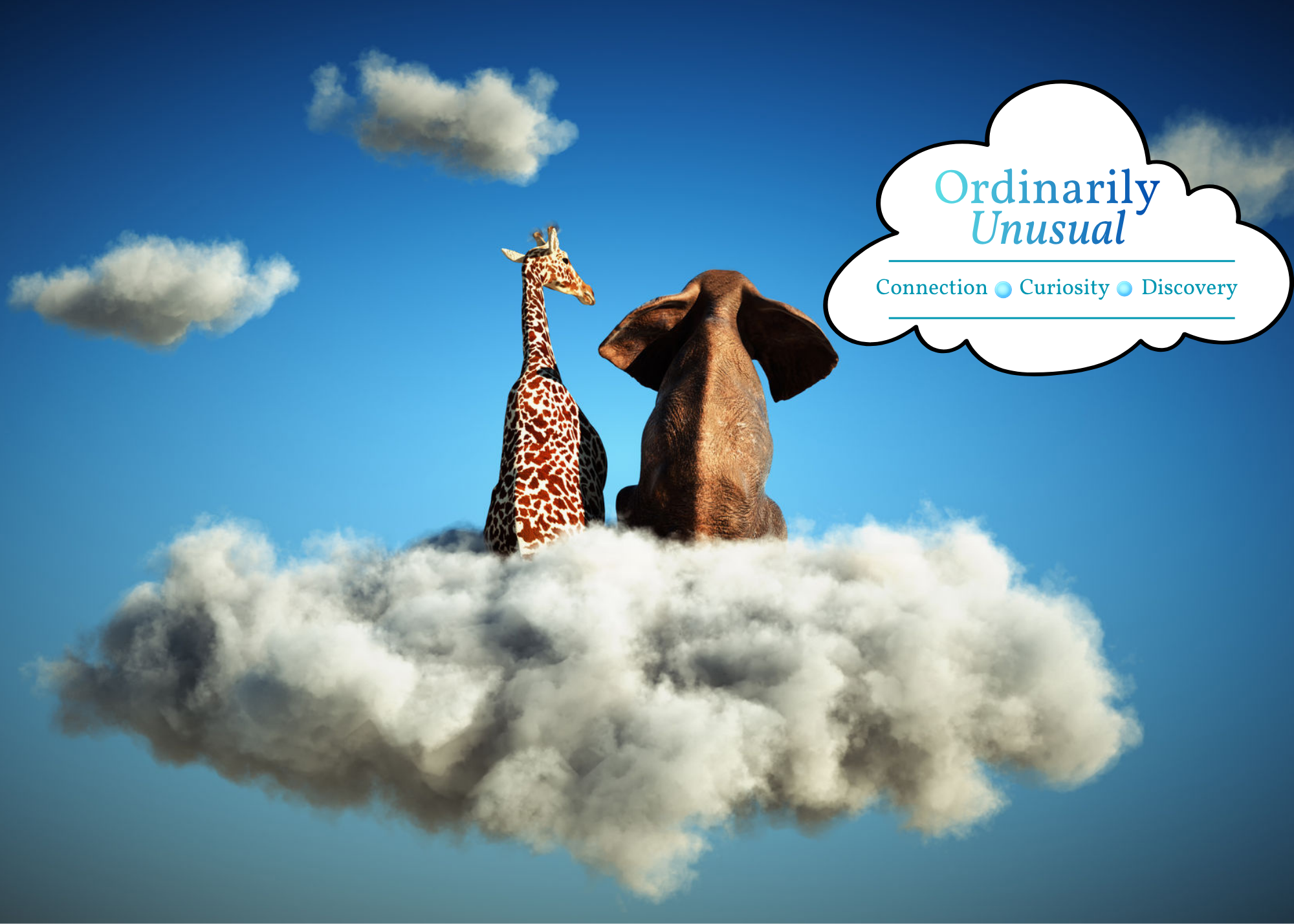 ORDINARILY UNUSUAL!