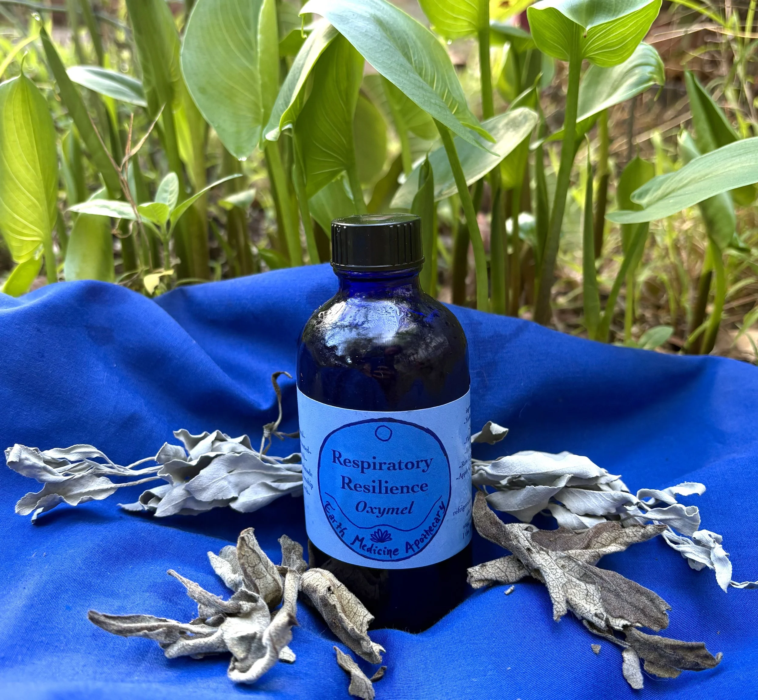 Respiratory Resilience Oxymel