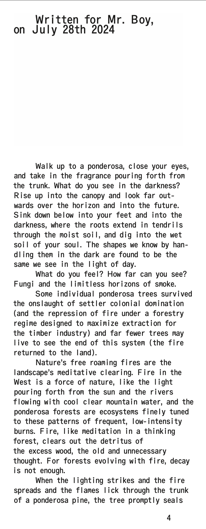 Screenshot 2025-04-16 at 10.12.12 AM.png