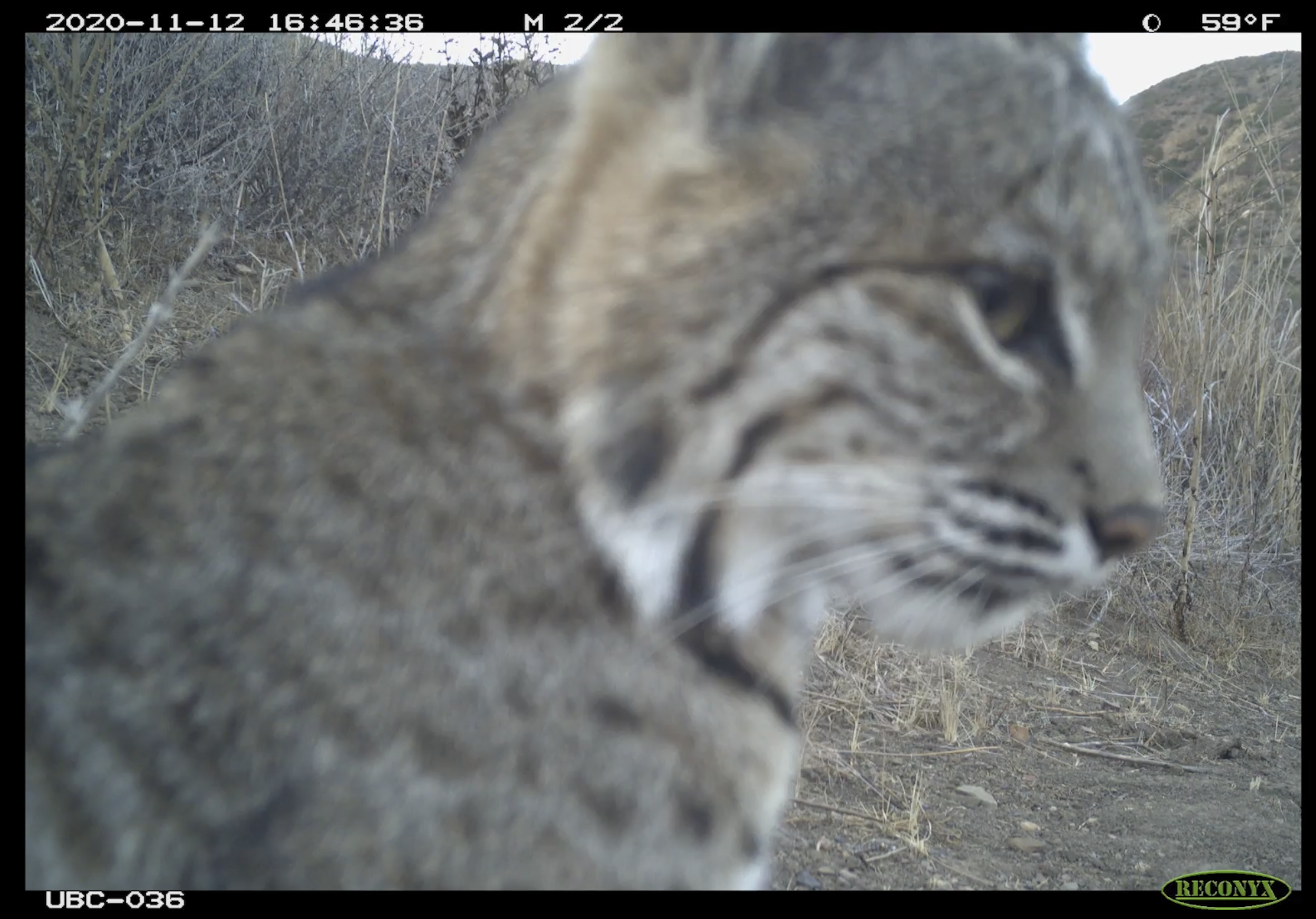 Screenshot 2025-04-16 at 1.38.16 PM.png