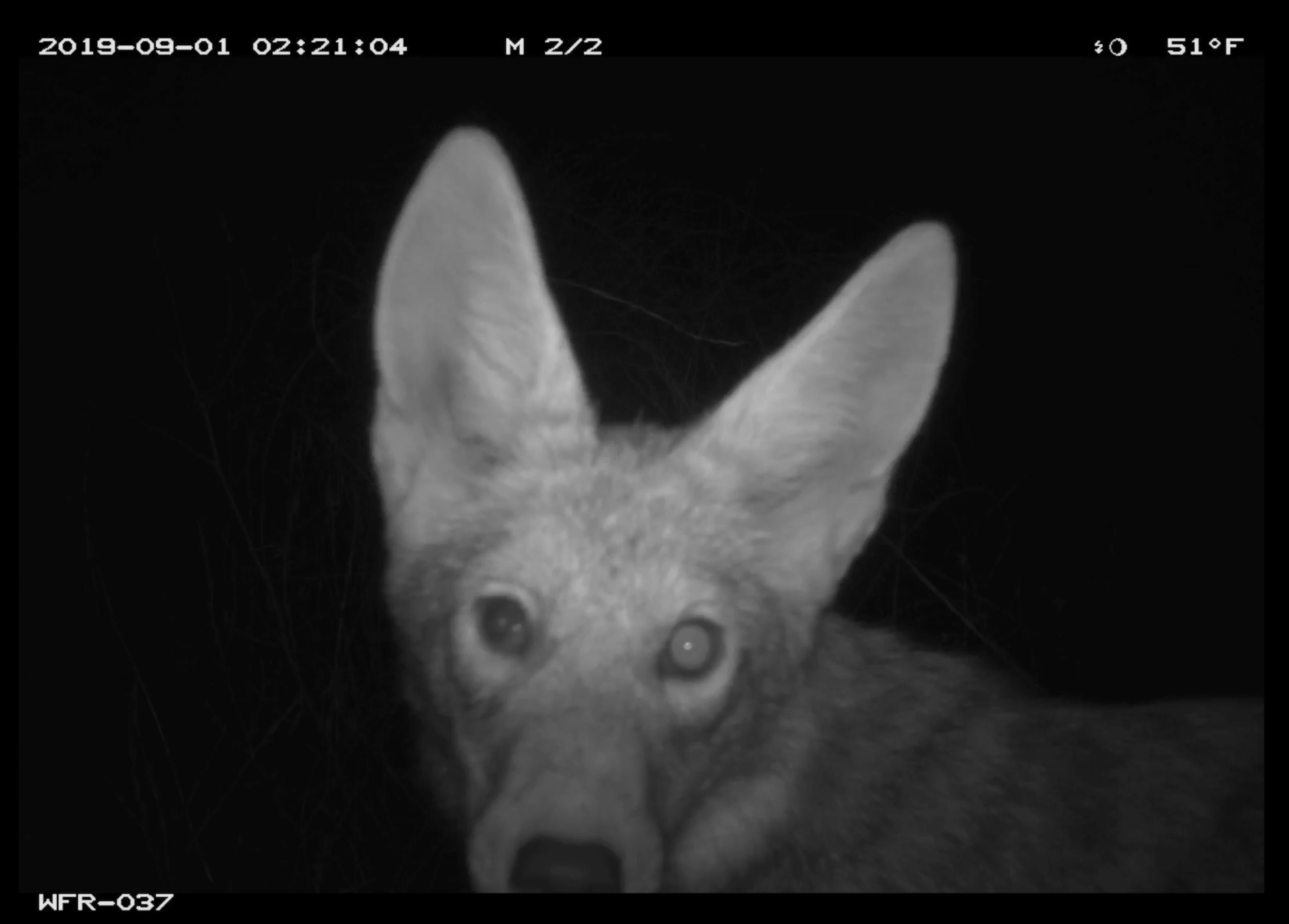 Screenshot 2025-04-16 at 1.39.52 PM.png