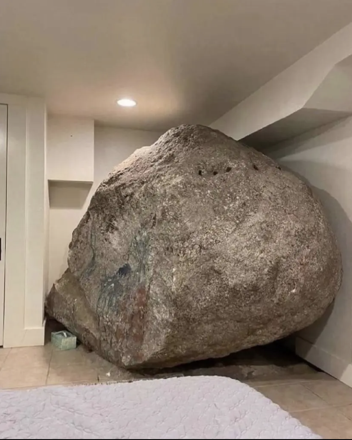 Screenshot 2024-11-25 at 4.34.25 PM.png