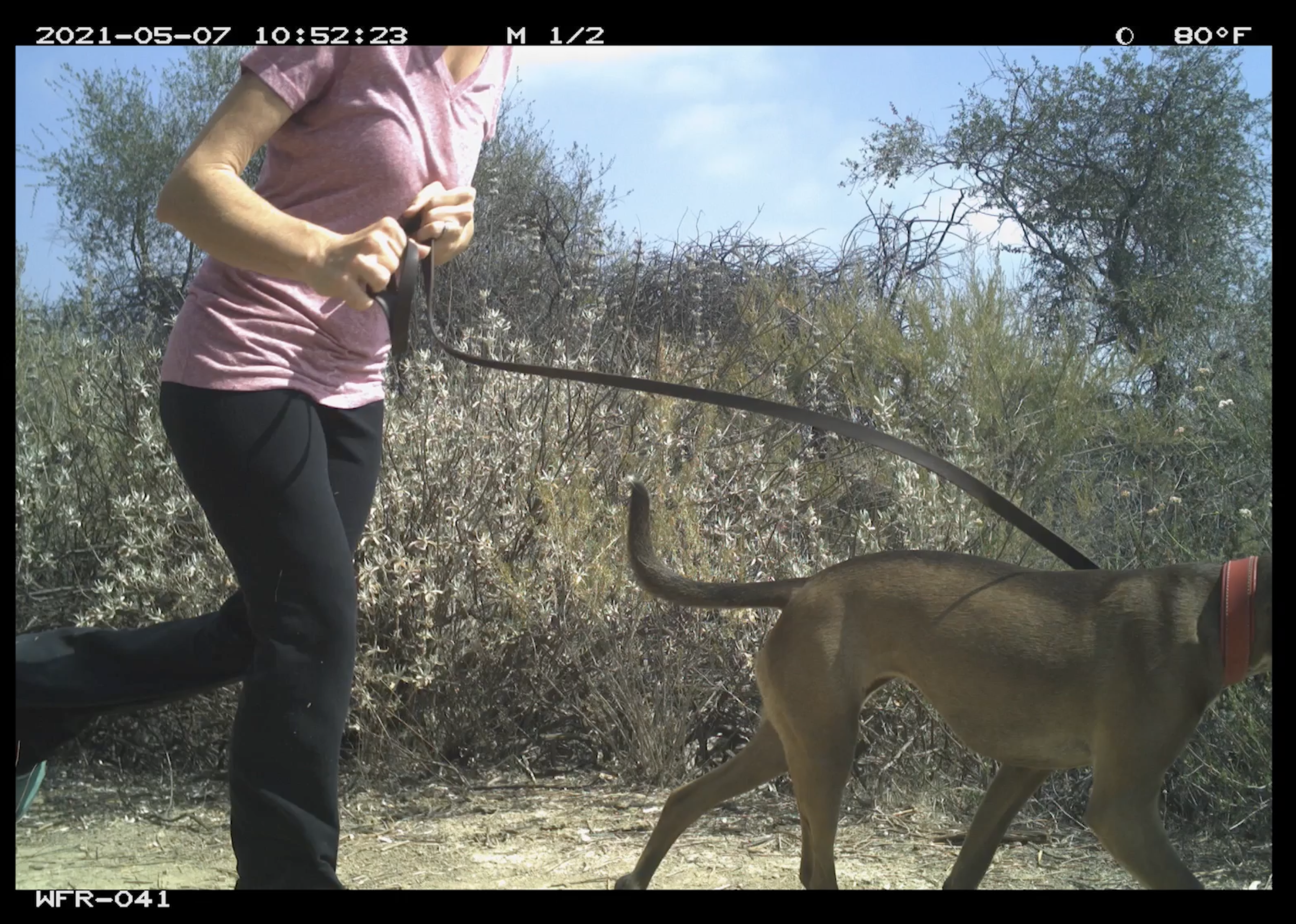 Screenshot 2025-04-16 at 1.41.51 PM.png