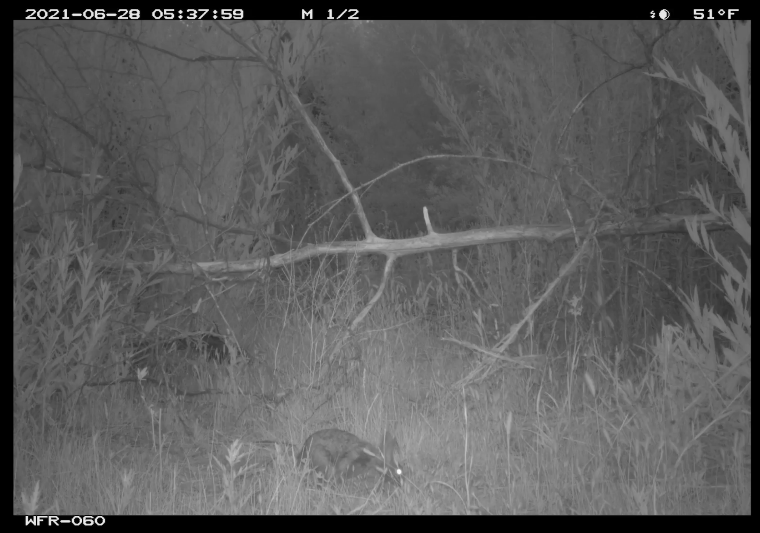 Screenshot 2025-04-16 at 1.42.06 PM.png