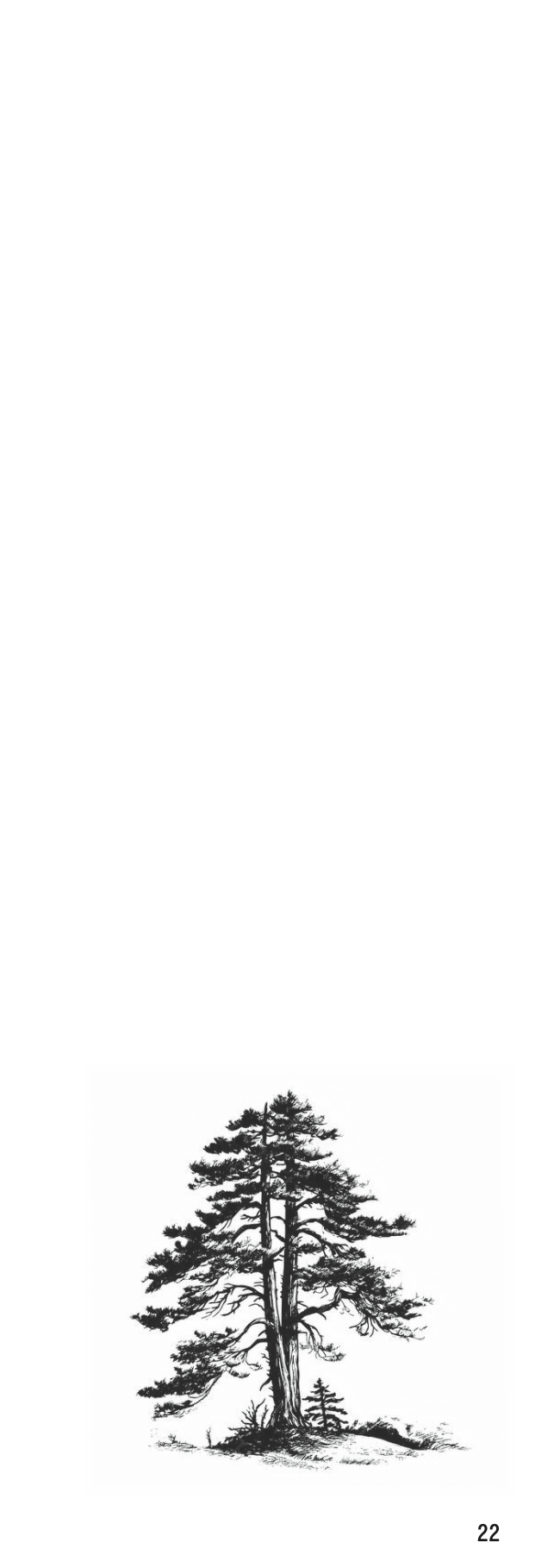 Screenshot 2025-04-16 at 10.15.24 AM.png