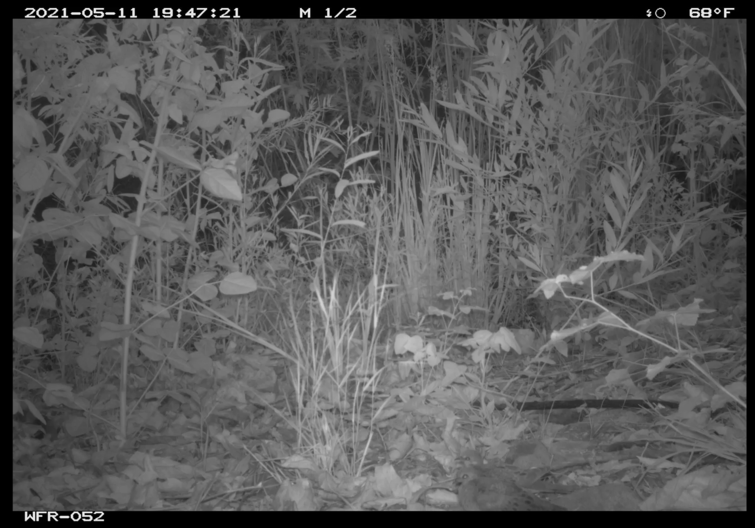 Screenshot 2025-04-16 at 1.40.07 PM.png