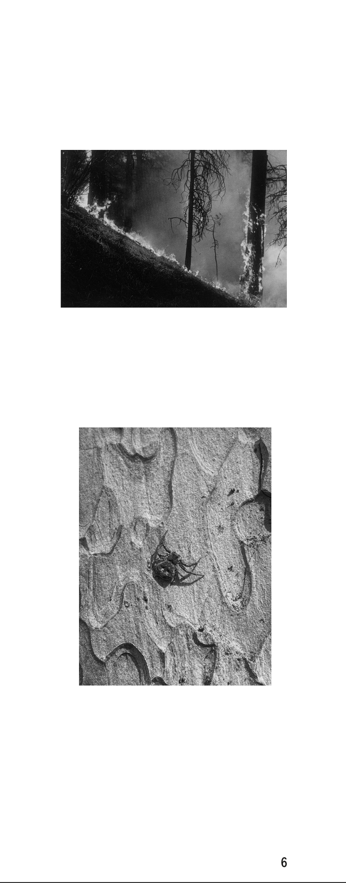 Screenshot 2025-04-16 at 10.12.32 AM.png