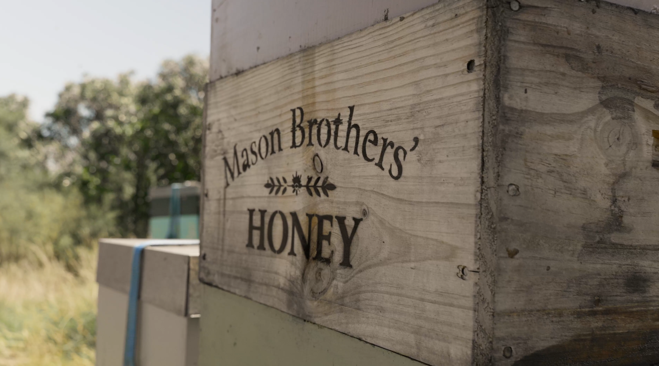 Mason Brothers' Honey
