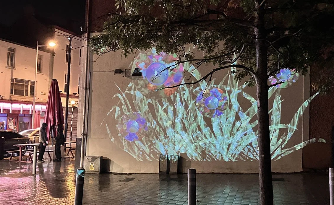 2025 Flowers for St Peter - Culture Night - Night Pools Light Installation Trail - video projection