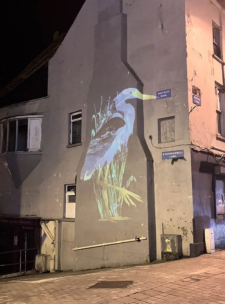 2025 Sentinel - Culture Night - Night Pools Light Installation Trail - video projection. 