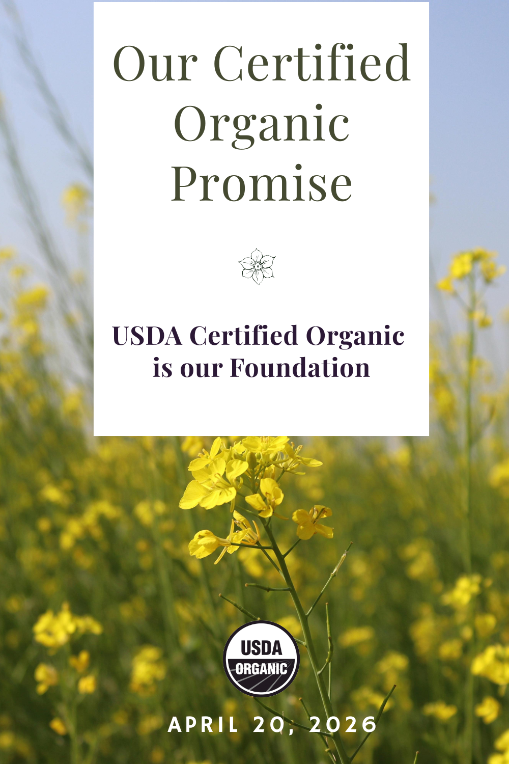 Our Certified Organic Promise