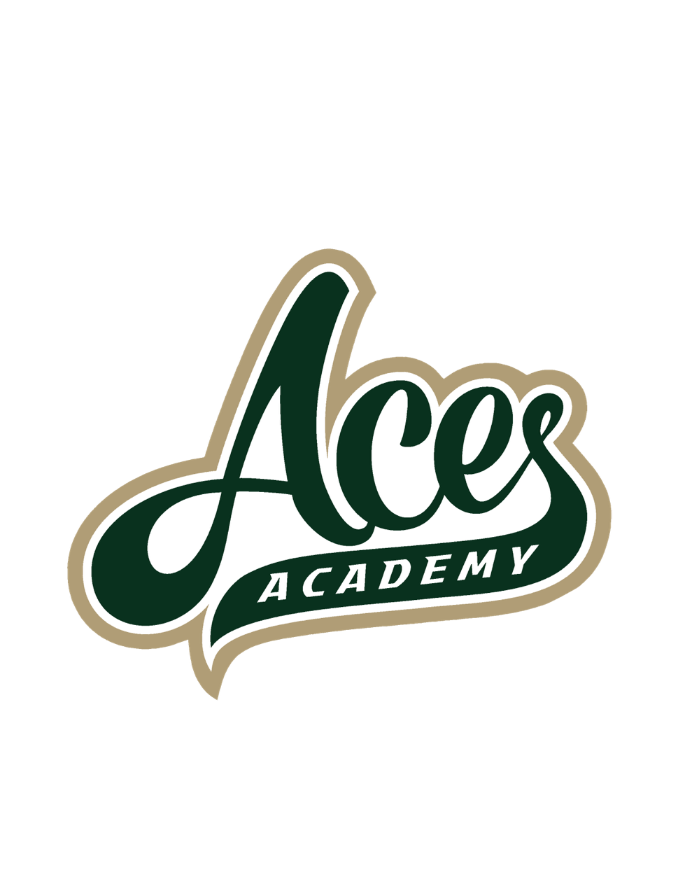 ACES Fastpitch Academy