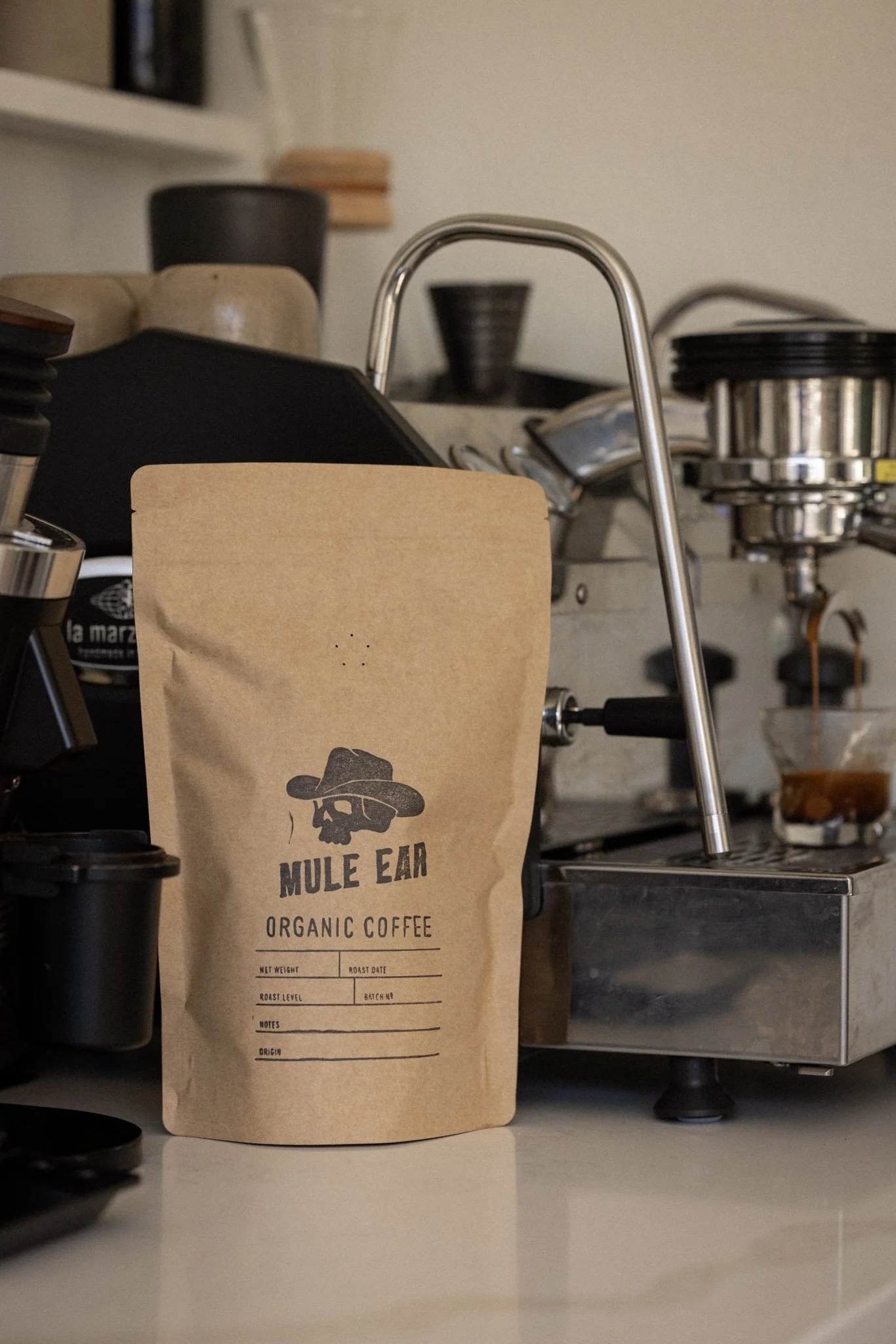 Dark Roast / Whole Bean (12 oz)