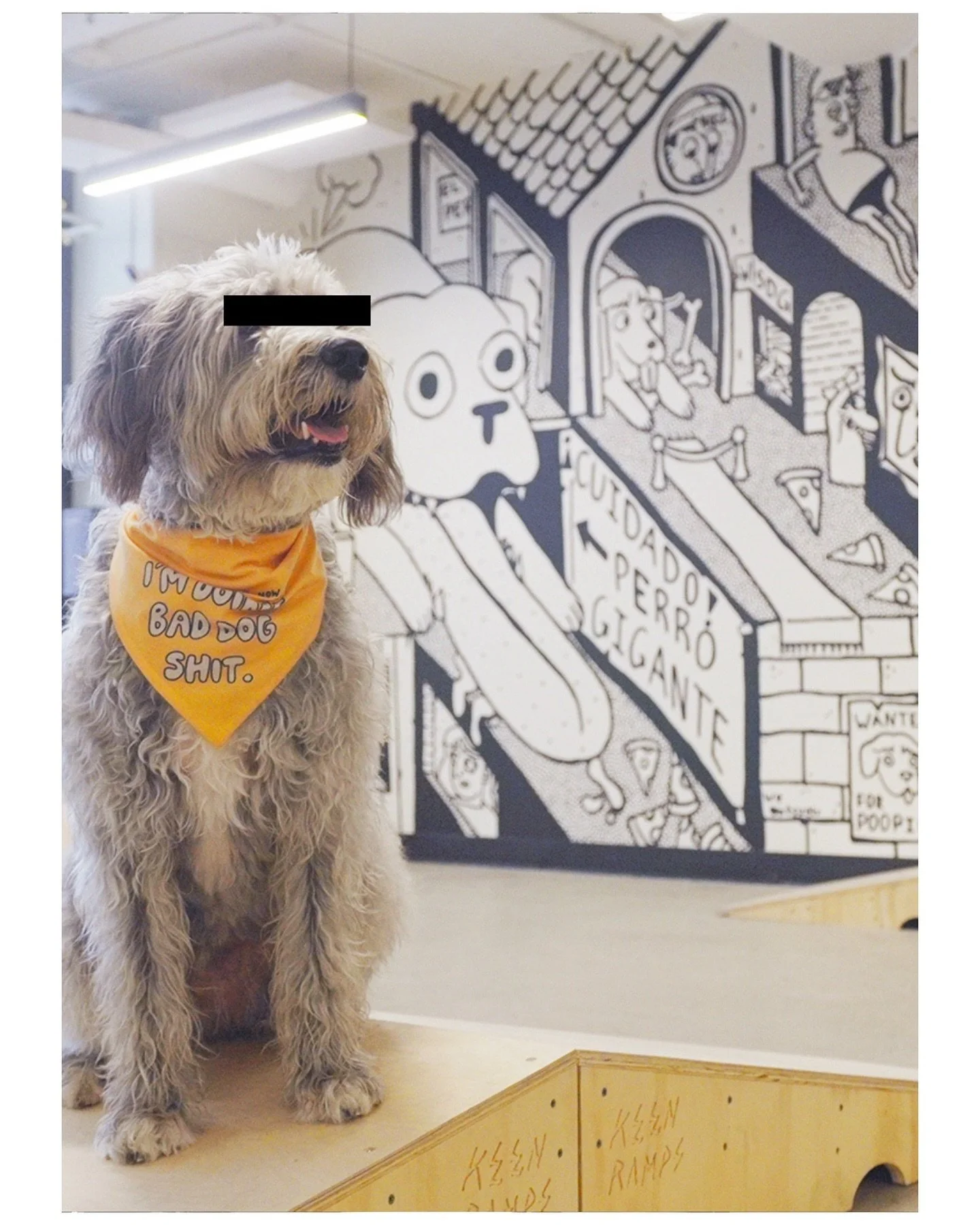 Daycare is dead 💀

Welcome to the WSDG Clubhouse:

🐾 Open Playgrounds &amp; Training Zones
🛋️ Chill Relaxation &amp; Wellness Rooms
🎨 Murals + art for the vibes
🛠 Custom gear built for real play

📅 Daily class schedule &amp; activities
⏱️ Hourl