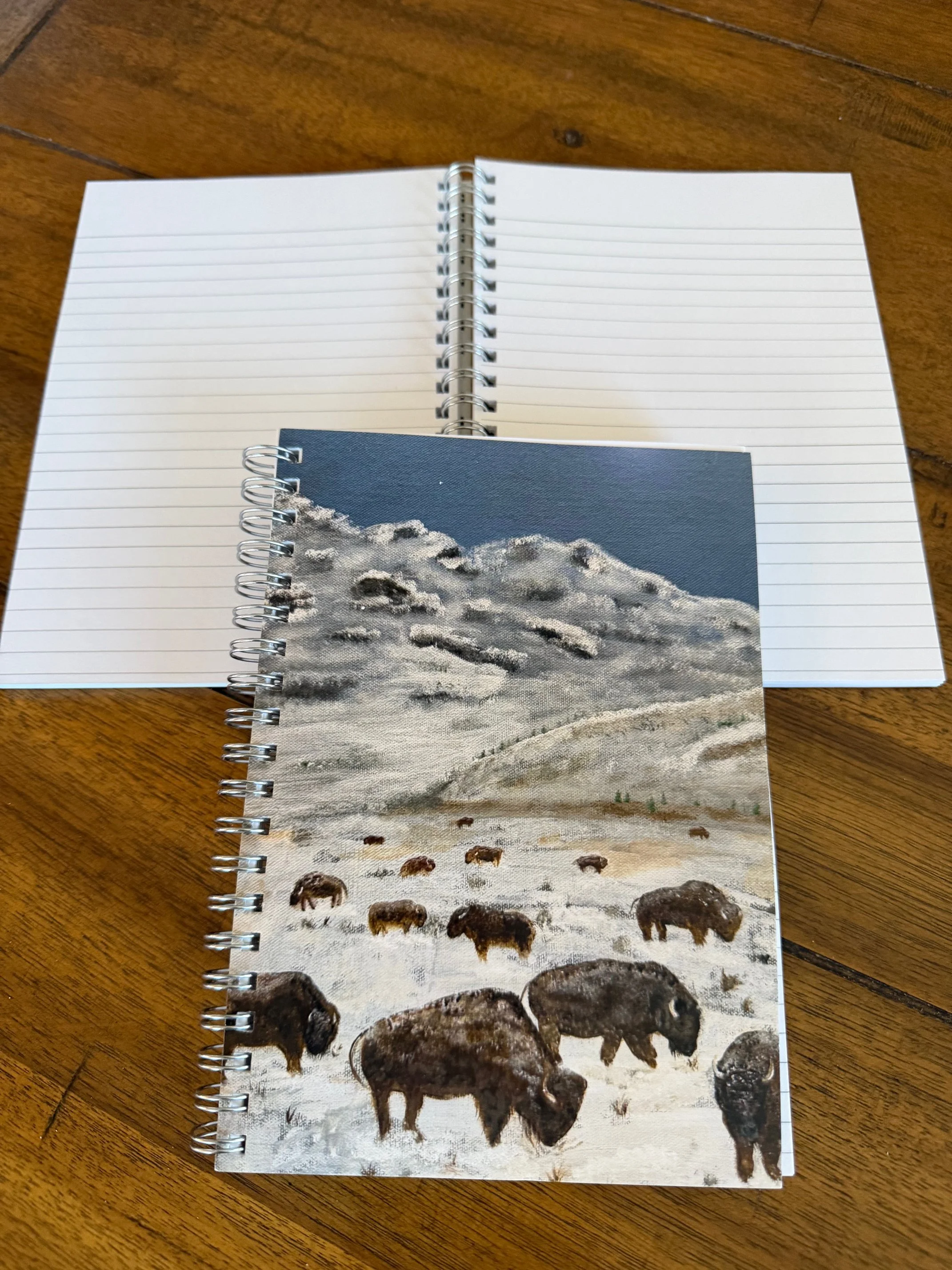 Frosty Notebook 5x7.jpeg