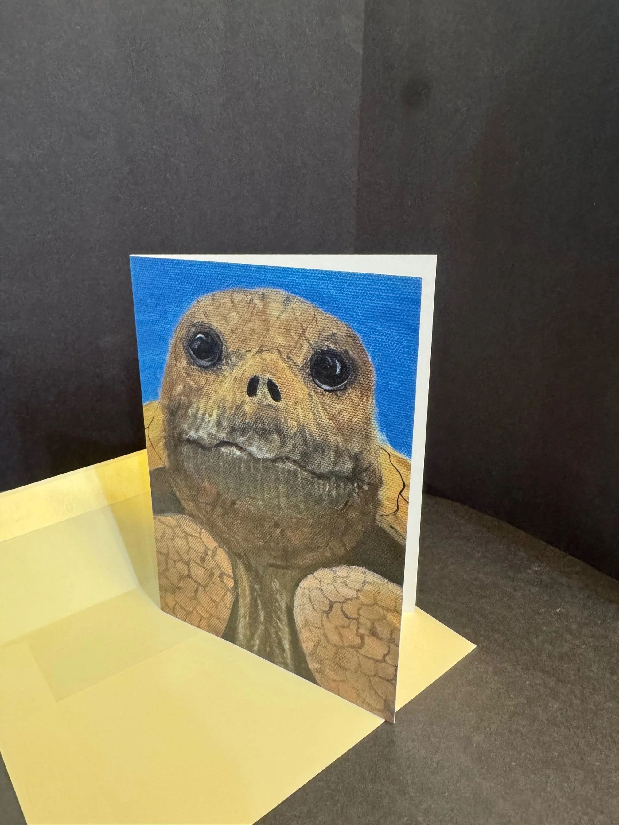 Tuttle Greeting Card.jpg
