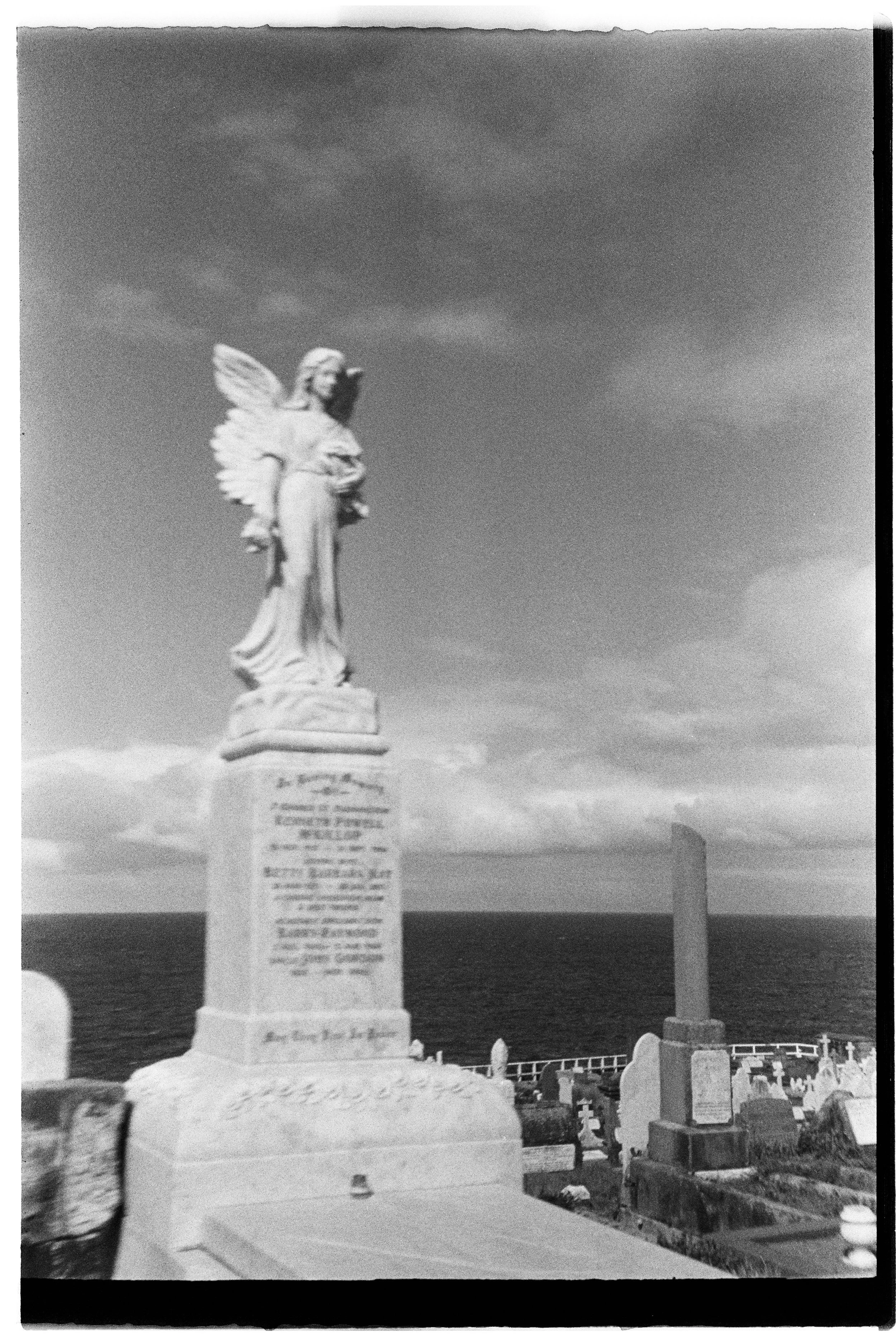 000029-4.jpg