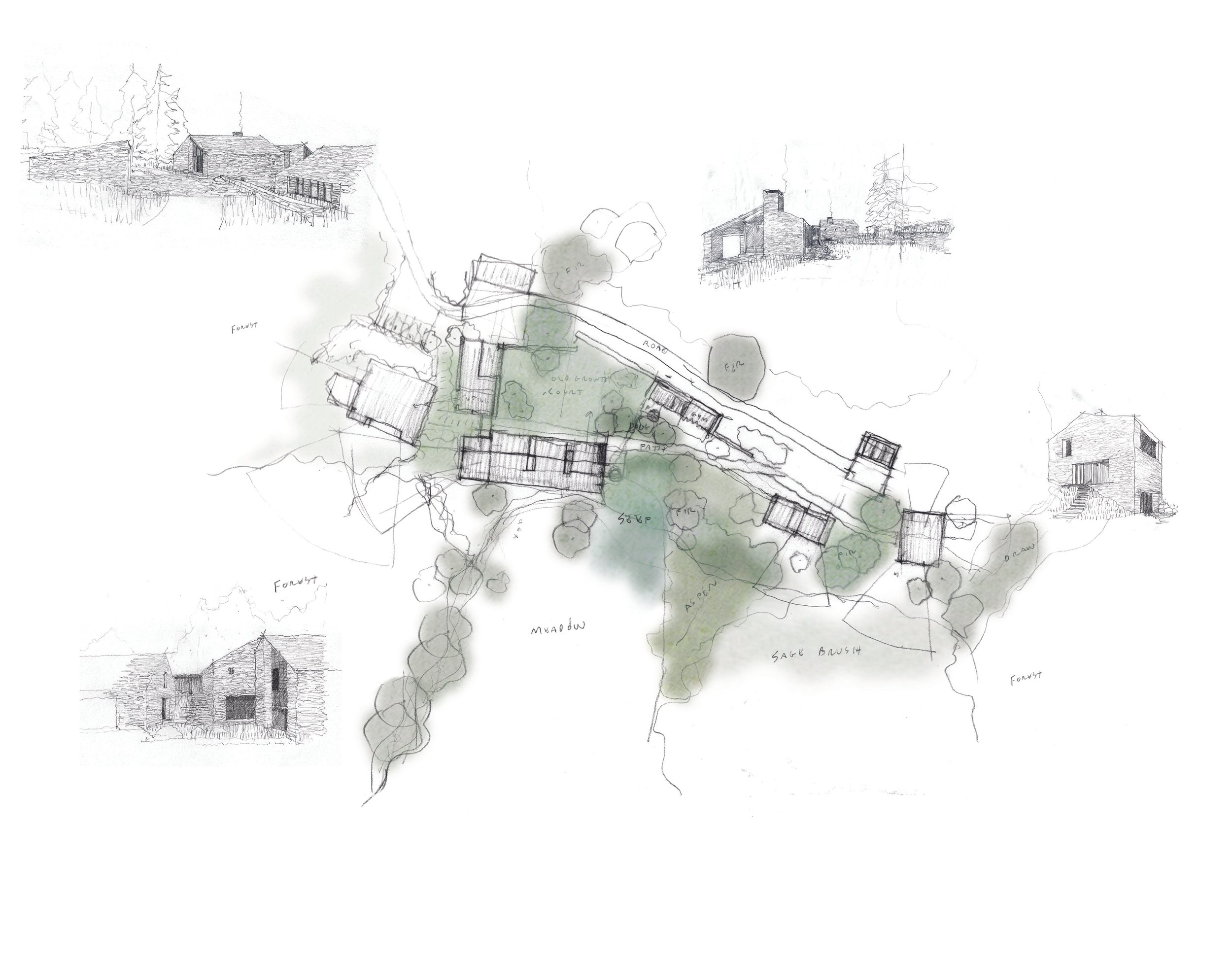 MLR-Landscape Courts