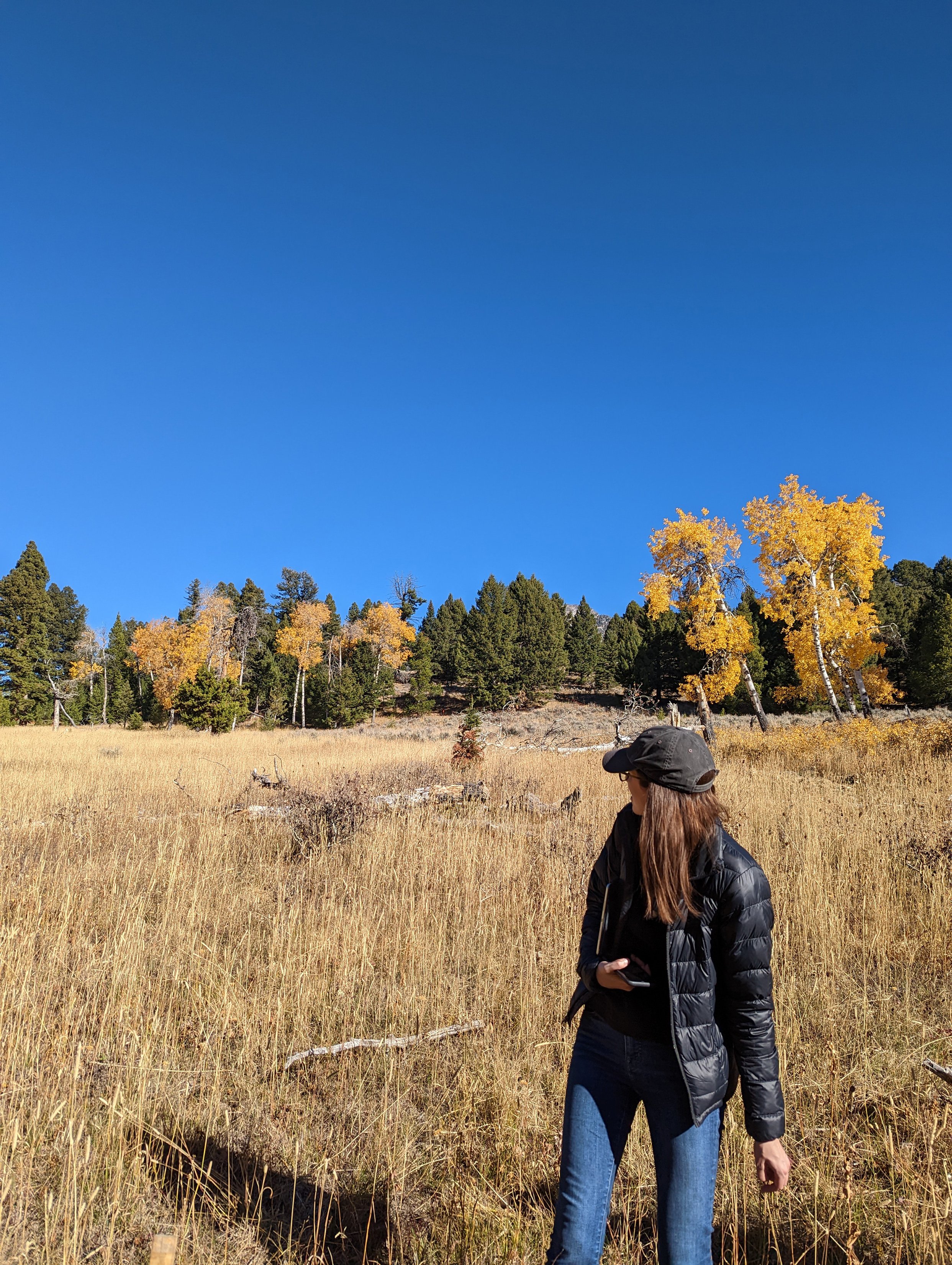 MLR-Site Visit - Aspens