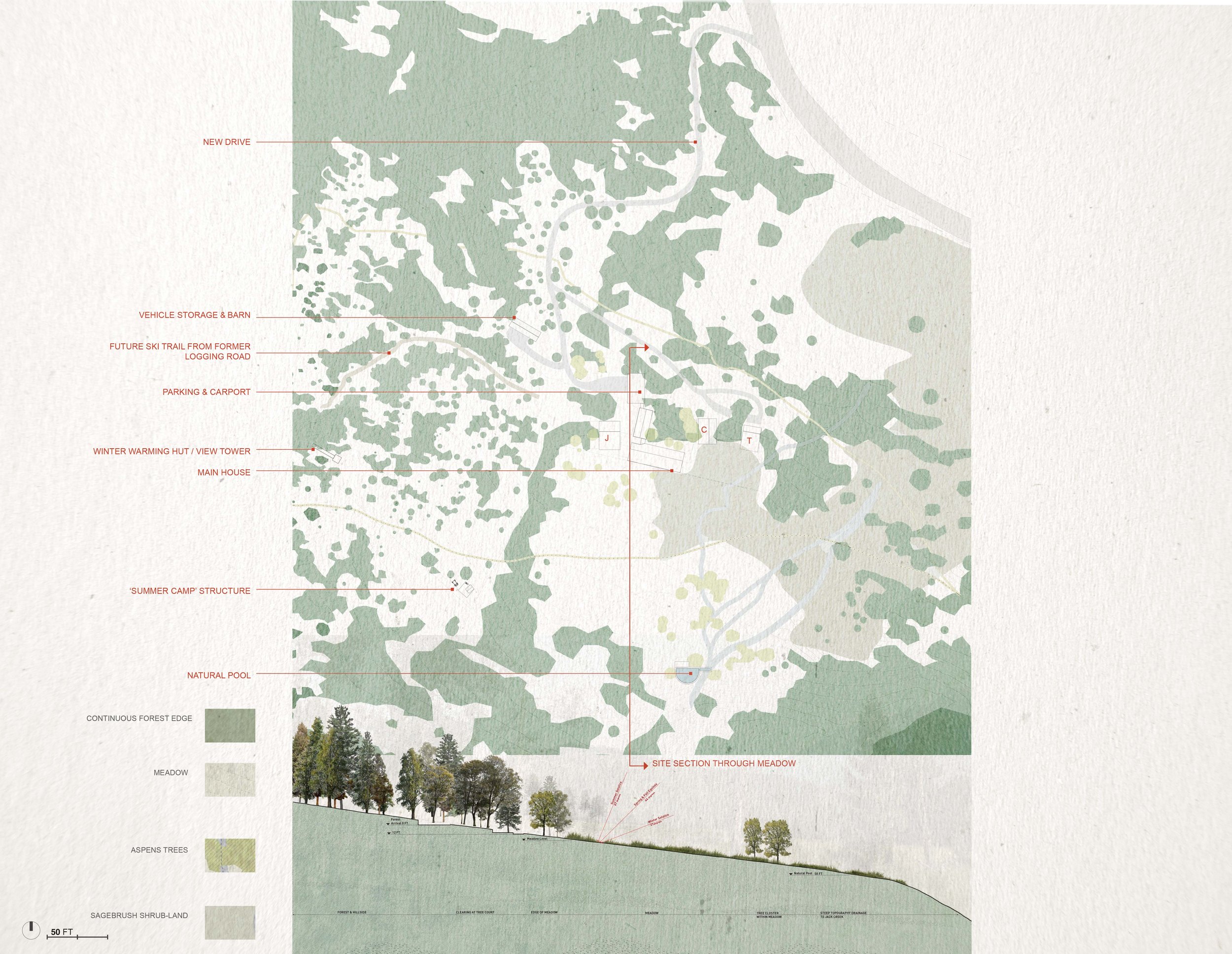 MLR-Overall Site plan and Section