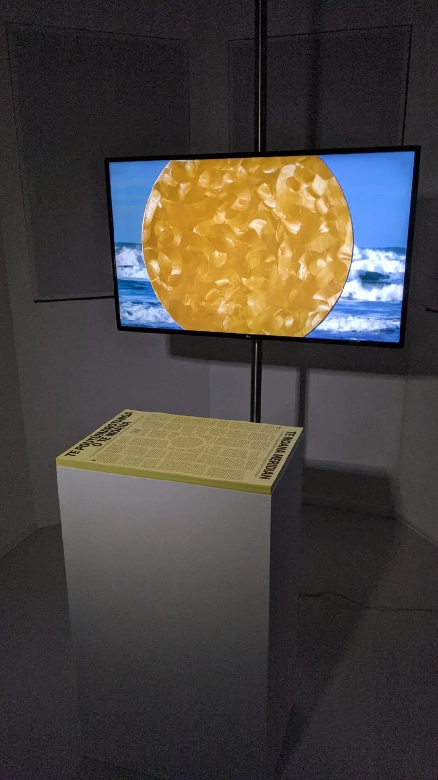 TMM Transmediale instal 2021 Berlin.JPG