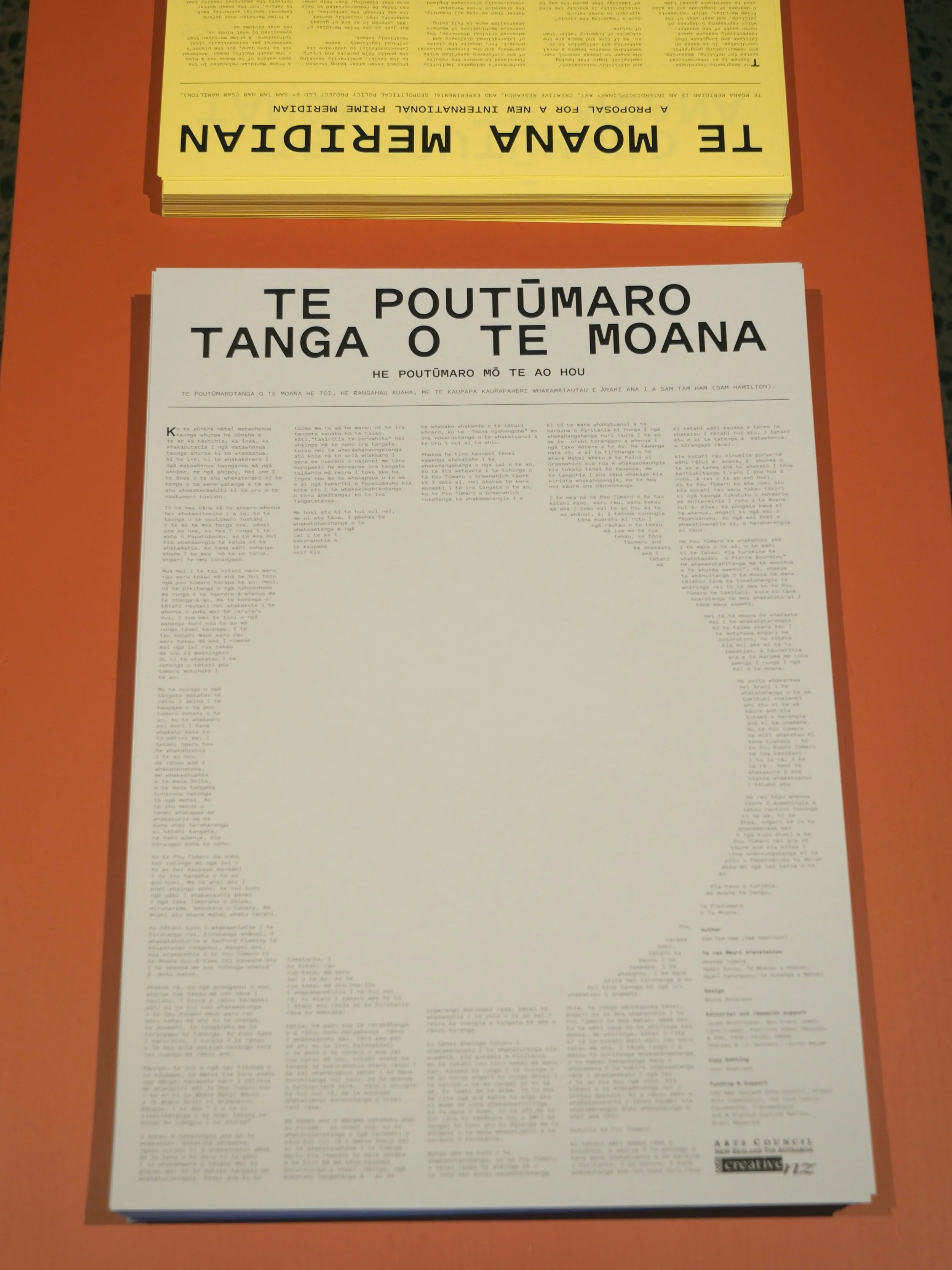 Te Moana Meridian (exhibition documentation) 4  (small).jpg
