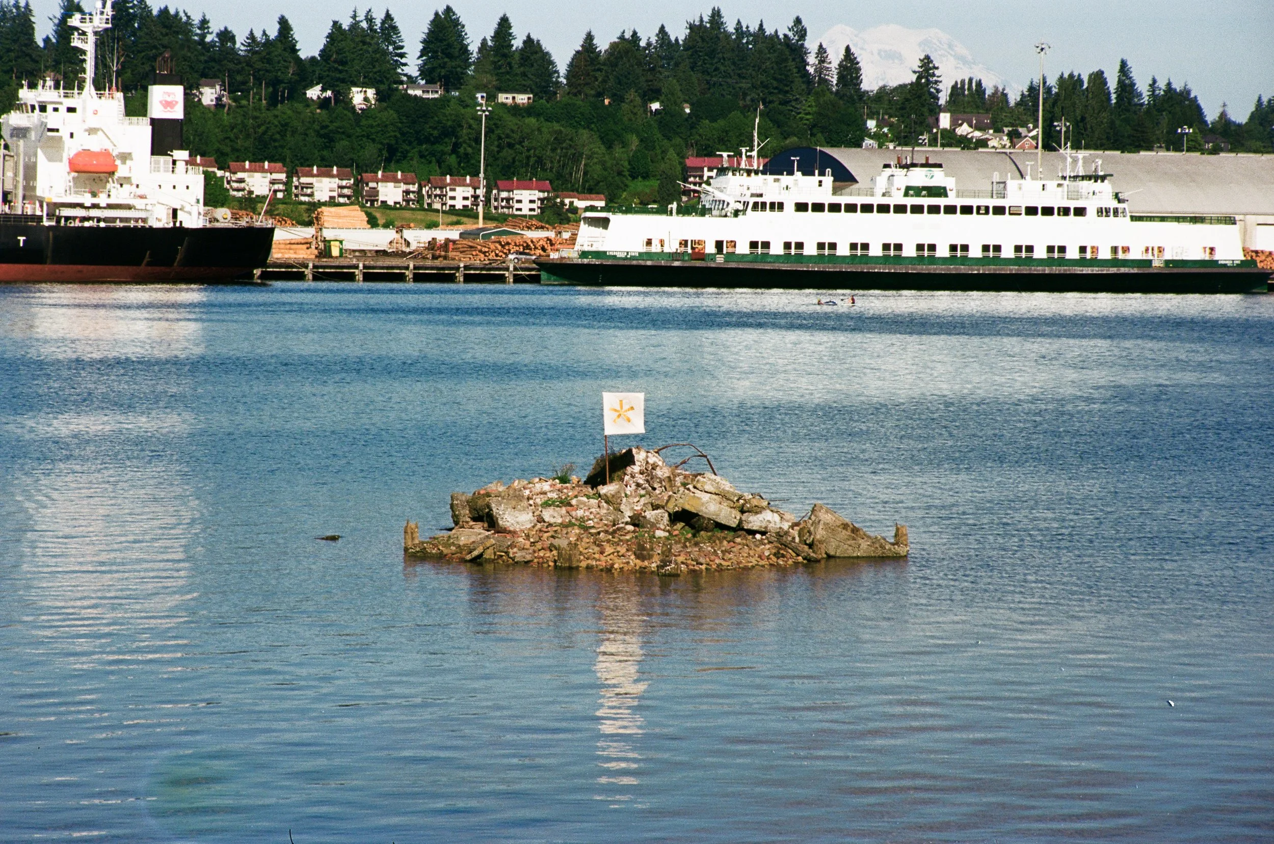 Sovereignism Amendment #135mm.jpg