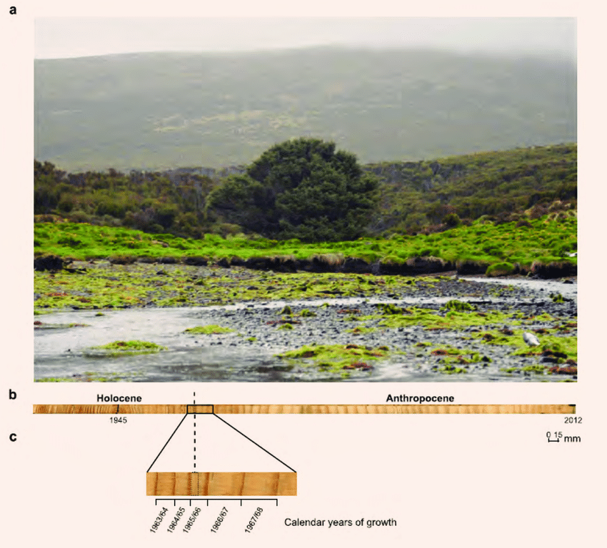 Anthropocene Unworking Group