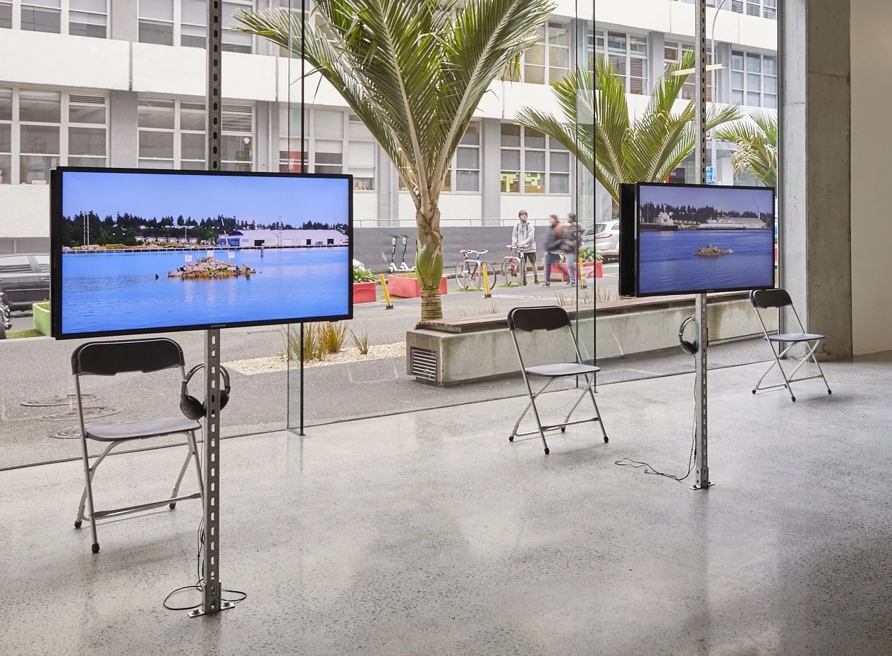 15. Sovereignism 1&2 at st Paul St Gallery 2019jpg.jpg