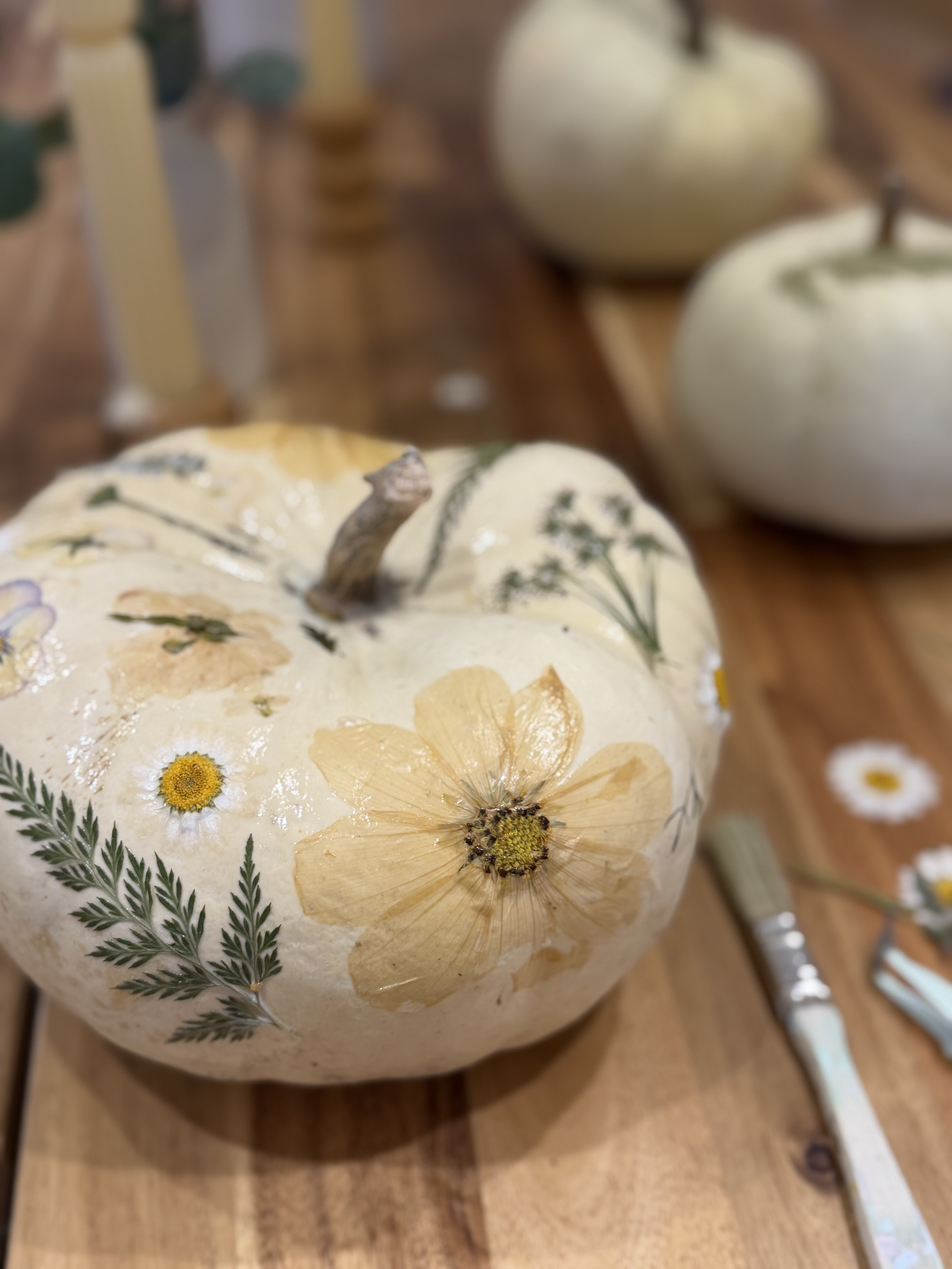 Pumpkins + Petals