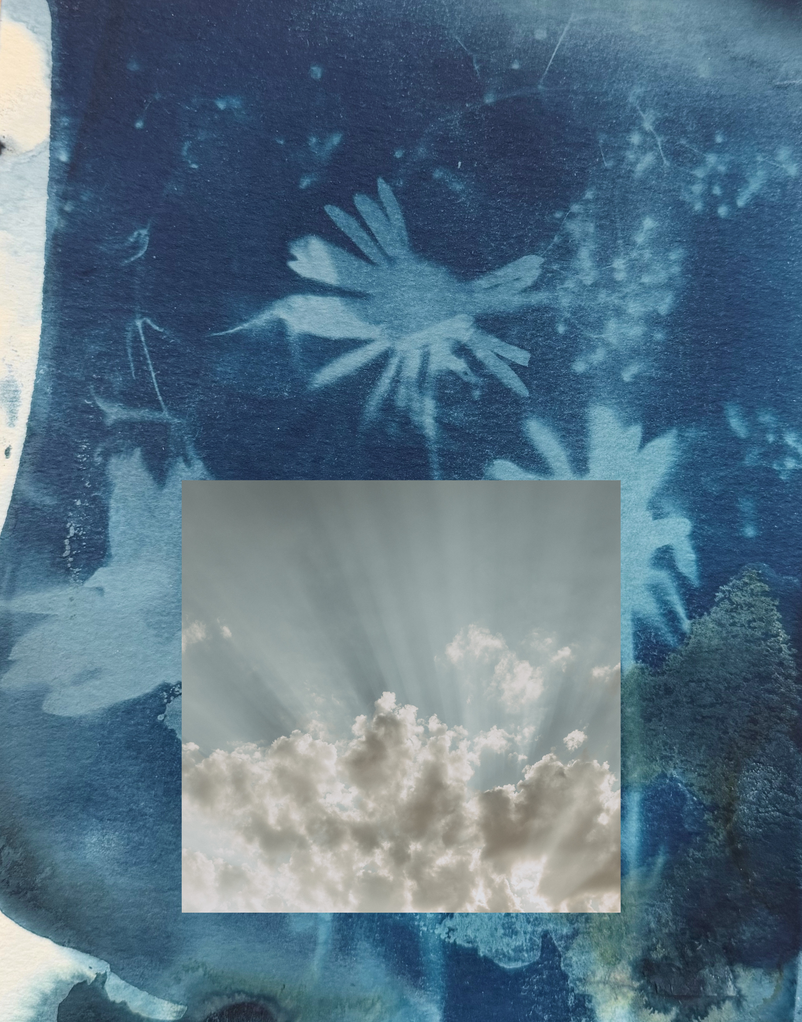 NEW RELEASE + Edmonds Art Walk